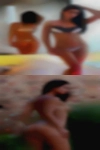 Pussy wild